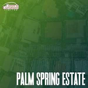 Palm Spring Estate