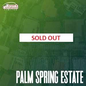 Sold Out Palm Spring Estate